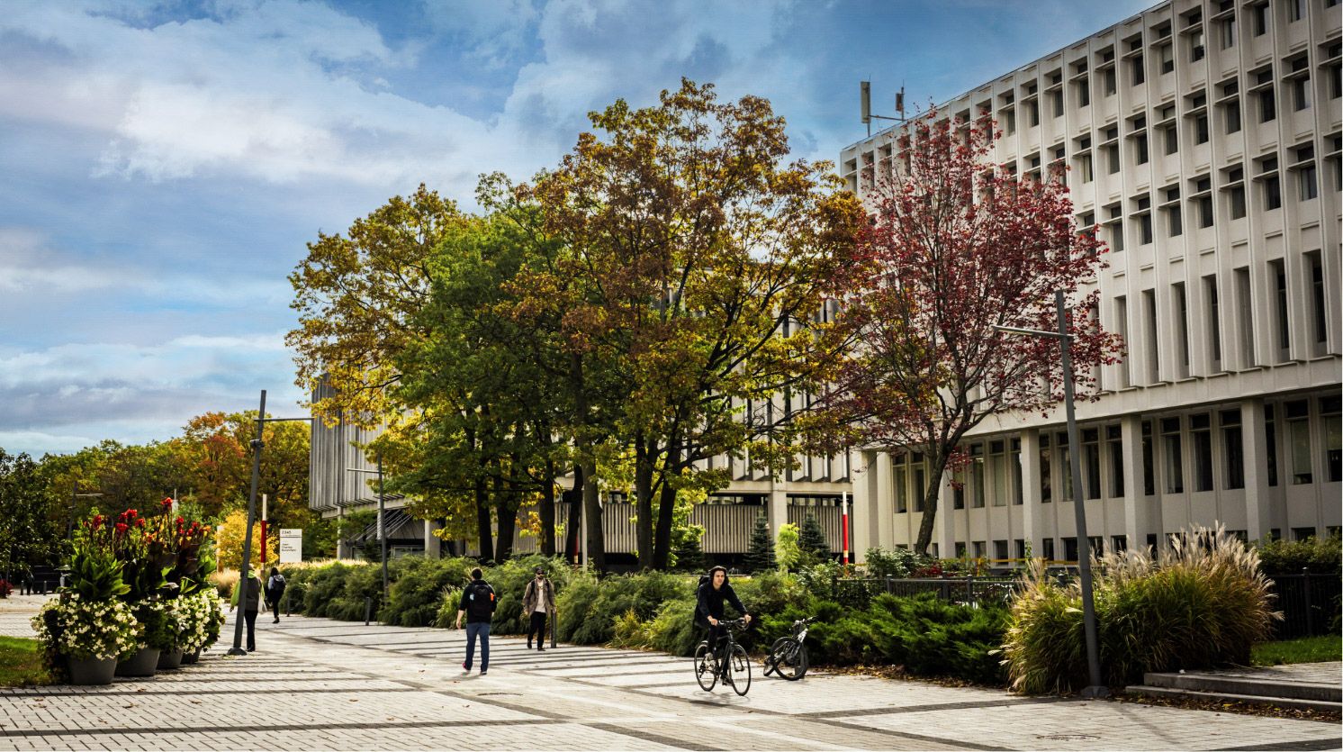 Le campus